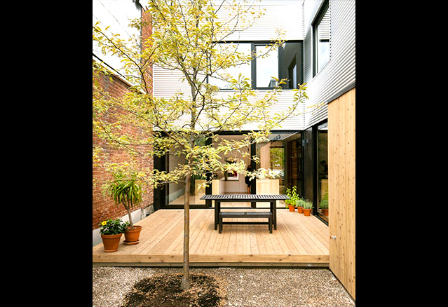 la terrasse et l'arbre