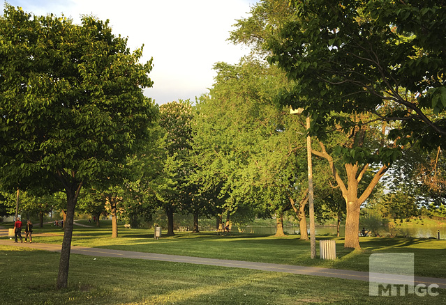 Le Parc Angrignon d'une superficie de 97 hectares. 