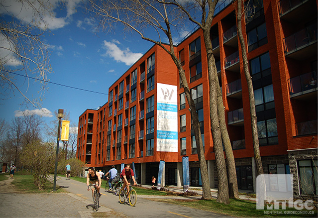 balade en vélo sur le bord du canal Lachine