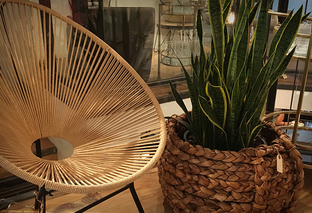 Chaise et plante dans un condo style boho-chic
