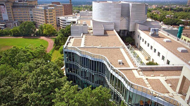 dan hanganu HEC Montreal vue aerienne du projet