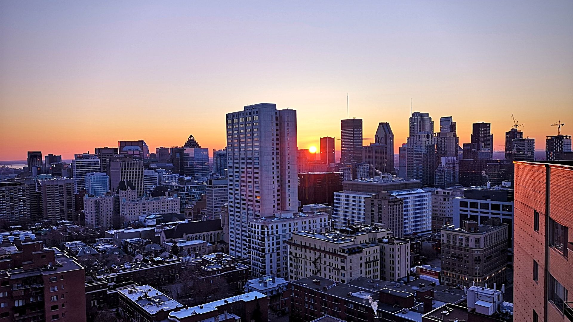 condo montreal