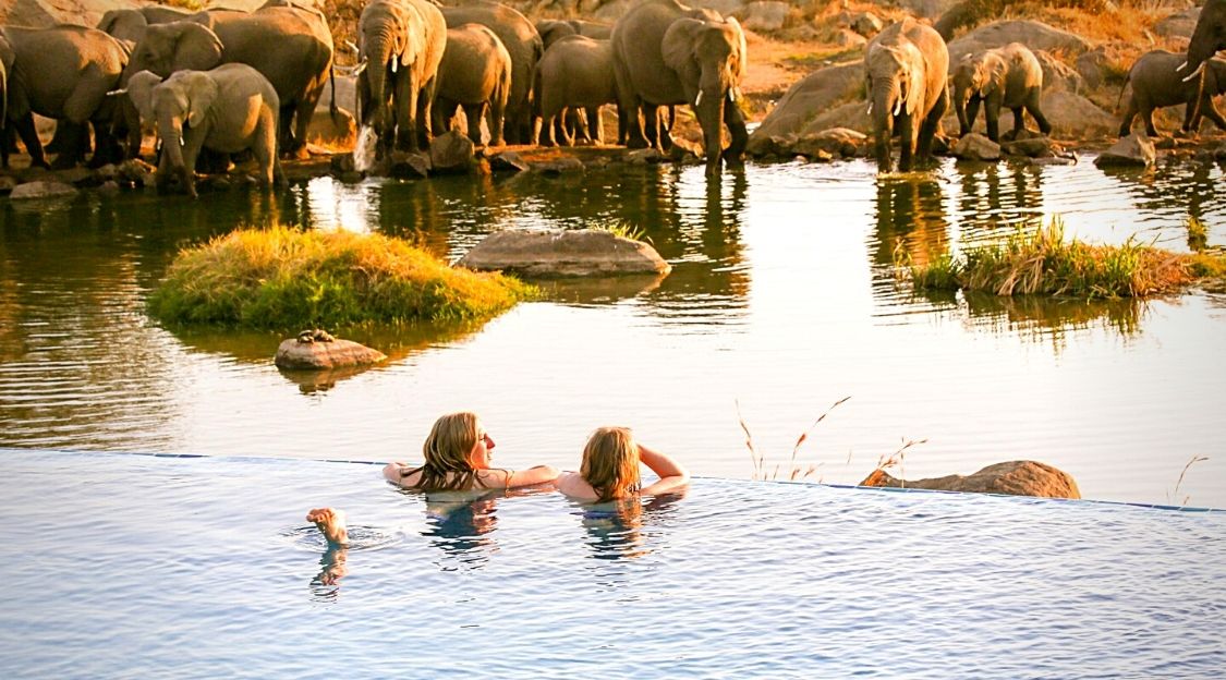 piscines afrique du sud