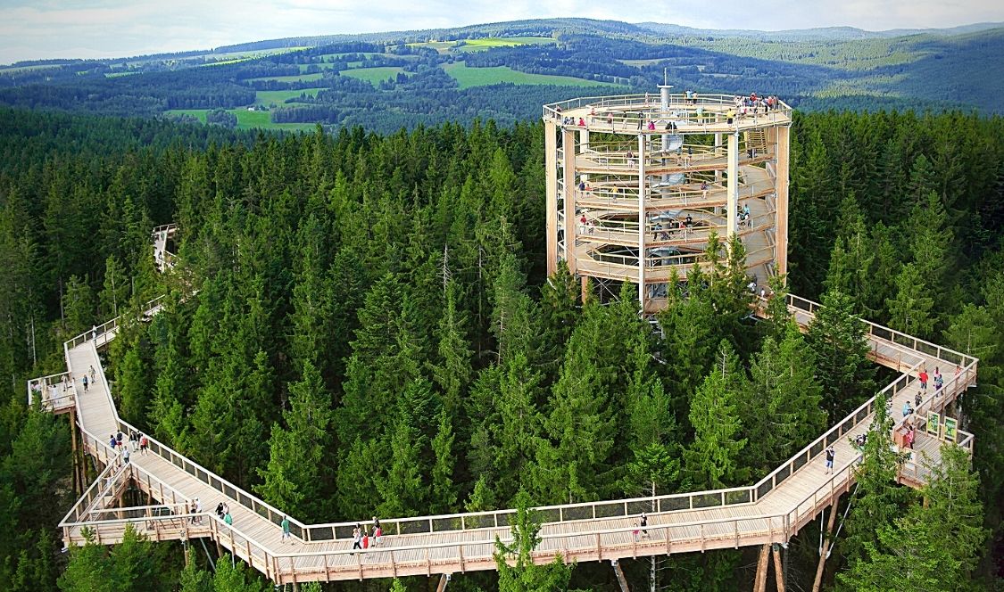 Sentier des cimes à titre d'exemple