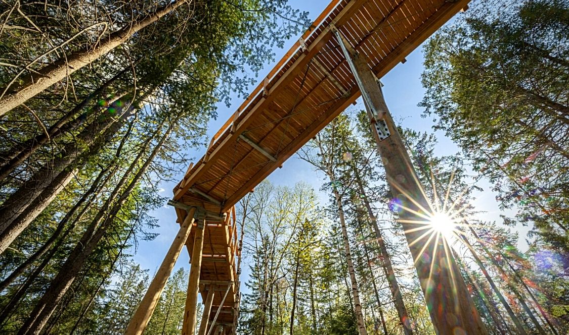 la passerelle vue d'en bas