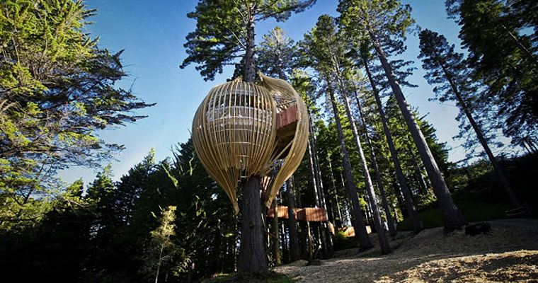 montreal-condo-tree-house-basket