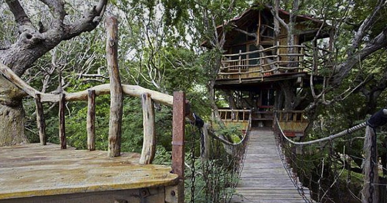 montreal-condo-tree-house-bridge