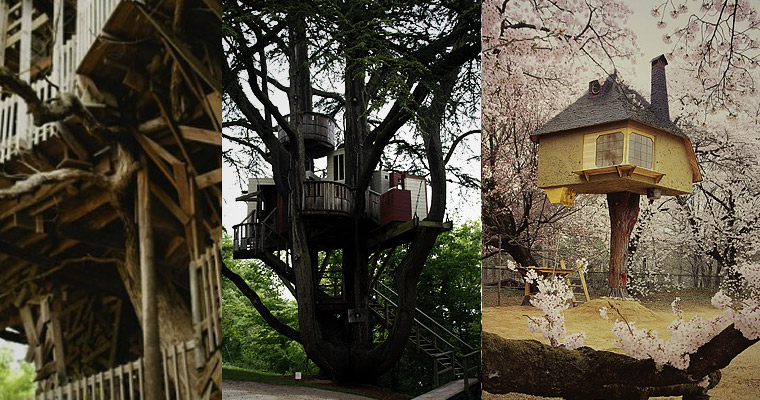 montreal-condo-tree-house-yellow 2