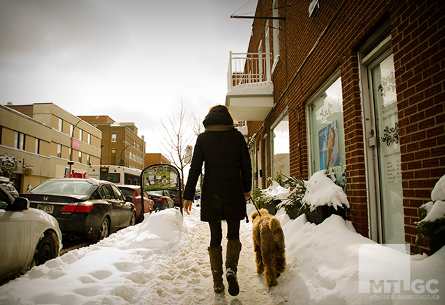 Habiter Rosemont sur le Parc – Douce et inimitable Petite-Patrie