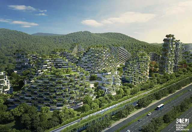 Une ville forêt en Chine