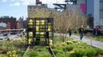 high line