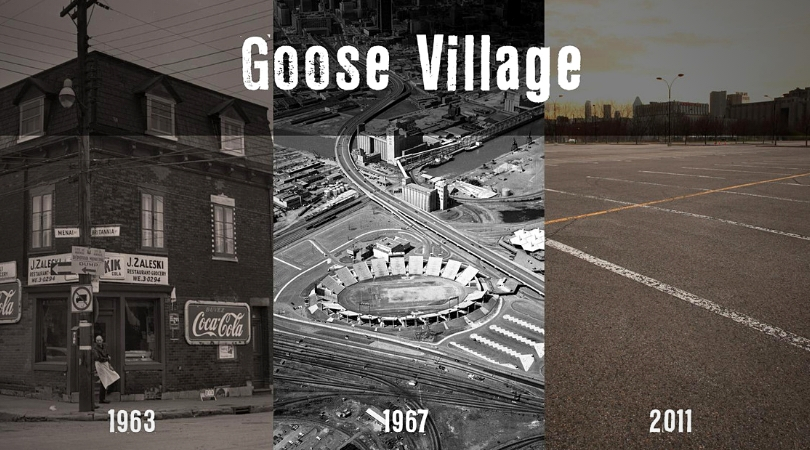 Victoriatown goose village