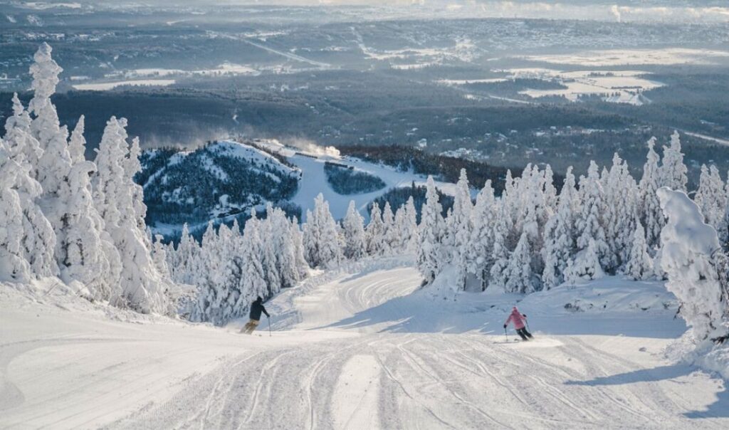 Parc national du Mont-Orford en hiver